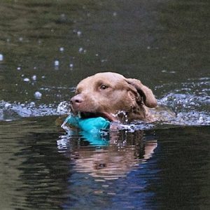 img_0377_q